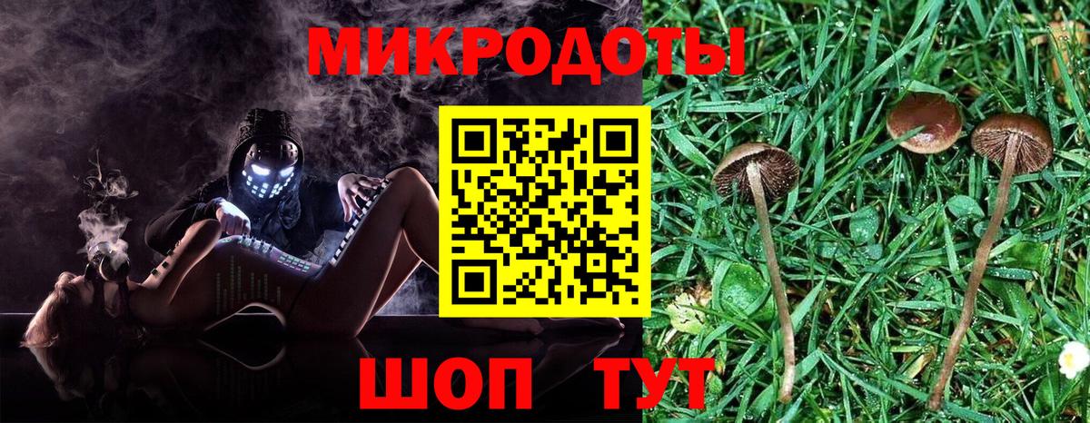 Псилоцибиновые грибы мицелий Димитровград